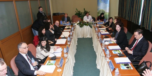 Final Steering Committee meeting of RENA, 5 March 2013, Skopje, FYROM. 