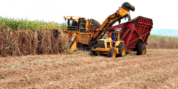 In Swaziland, improving the sugar industry means development.